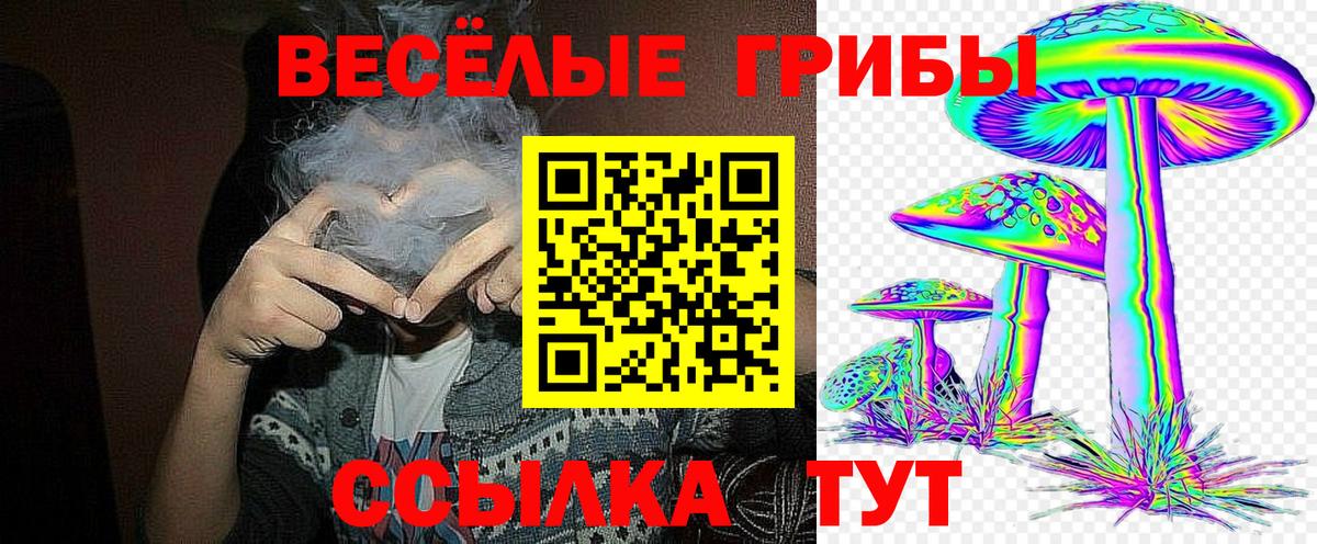 где купить наркоту  Псилоцибиновые грибы ЛСД  Вход с VPN  Бахчисарай 