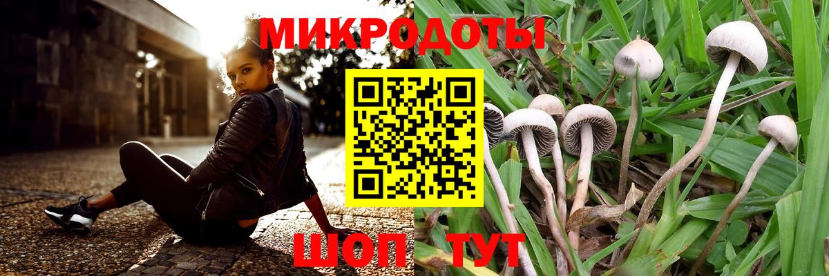 Псилоцибиновые грибы мицелий  где купить   Бахчисарай 